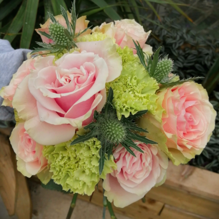 Ribbons and Roses Florists York